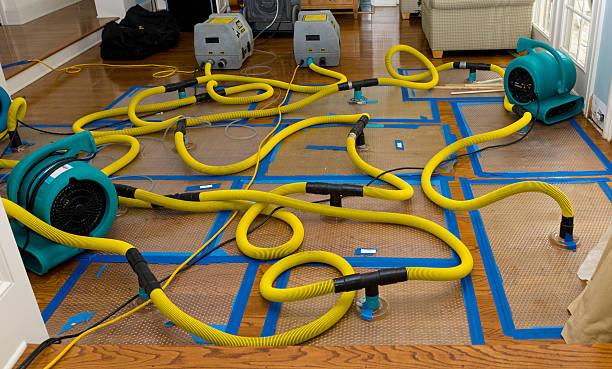 Professional Structural Drying And Dehumidification technician working in Ione, WA